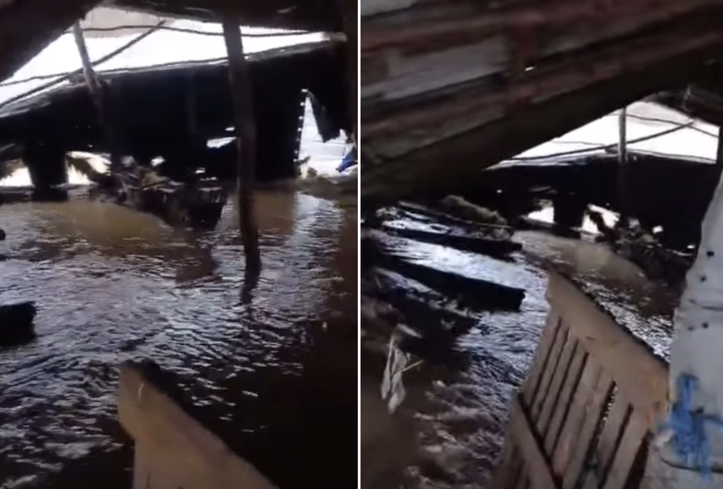 Поплава во Струмичко: Удавени над 100 овци и јагниња, уништени земјоделски насади