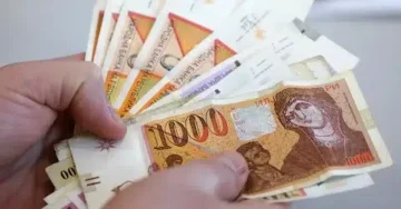 ПИОМ: Декемвриската пензија ќе се исплати на 2 јануари