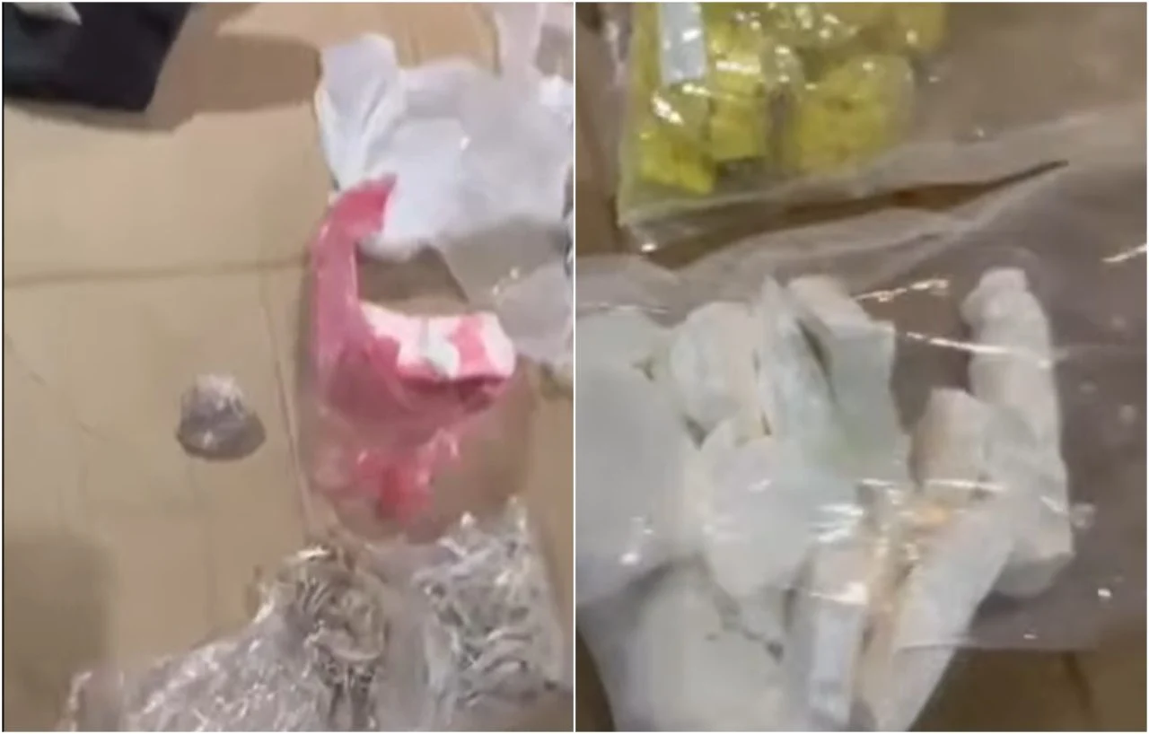 (Видео) Во напуштени подрумски простории во зграда во Аеродром полицијата пронајде поголема количина разновидна дрога