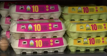 ЈАЈЦАТА ПОЕВТИНУВААТ: Цените во маркетите вратени на нивото од пред ноемвриското поскапување