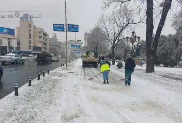 „Паркови и зеленило“ вклучени во чистењето на снегот во Скопје