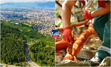 Водно добива моторички парк, паднатите дрвјата во невремето добија нова намена
