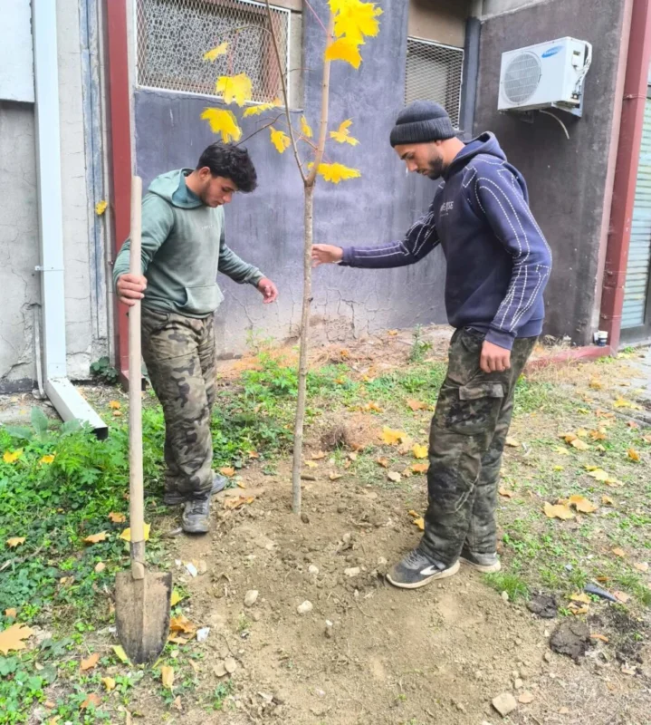 (Фото) Општина Карпош: 180 нови дрвја за почиста и поздрава животна средина