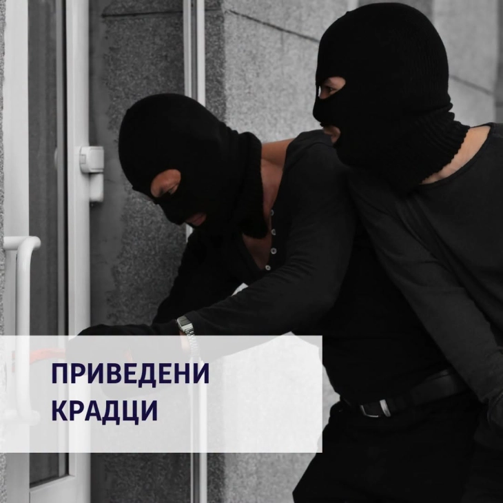 Лишени од слобода тројца скопјани, во продажен објект во Велес извршиле кражба, одземеното вратено на сопственикот
