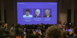 Тројца научници од Германија и САД ја освоија Нобеловата награда за медицина за откритијата во оптогенетиката