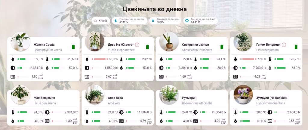 Македонец измисли софтвер што ‘зборува’ со цвеќињата: систем што им го чита здравјето во реално време