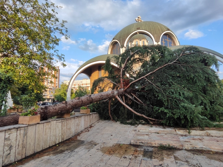 Граѓаните да ја пријават штетата од невремето, Владата ќе обесштети во согласност со законот