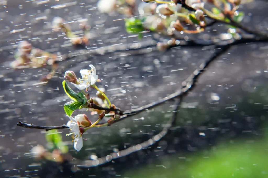 Времето утре облачно со обилни врнежи од дожд