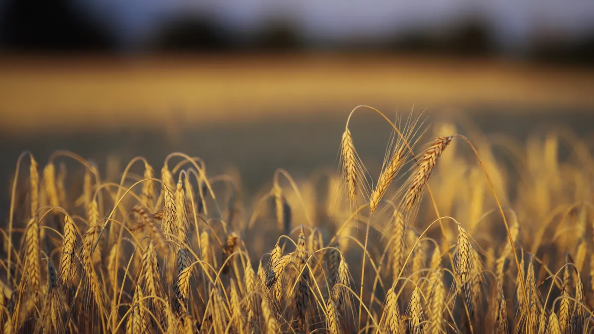 Освен нафтата и гасот: што друго ќе стане поскапо поради војната со Иран?