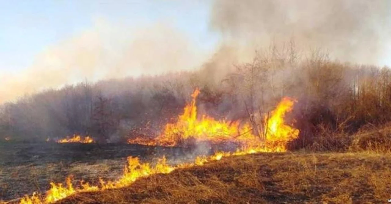Уапсено лице од струшко, фатено е при обид да запали сува трева и грмушки