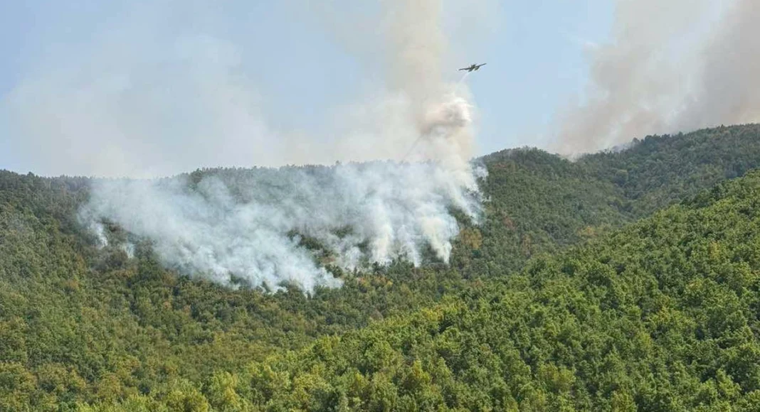 И ЕВН мора да одговара кога од нејзината мрежа тргнуваат пожари – монопол не значи недопирливост