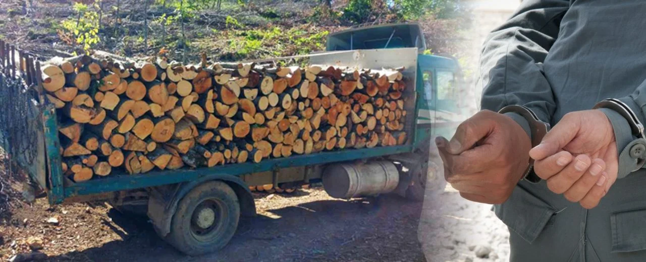 Кривична пријава против три лица, го оштетиле буџетот на ЈП „Национални шуми“ за над три милиони денари