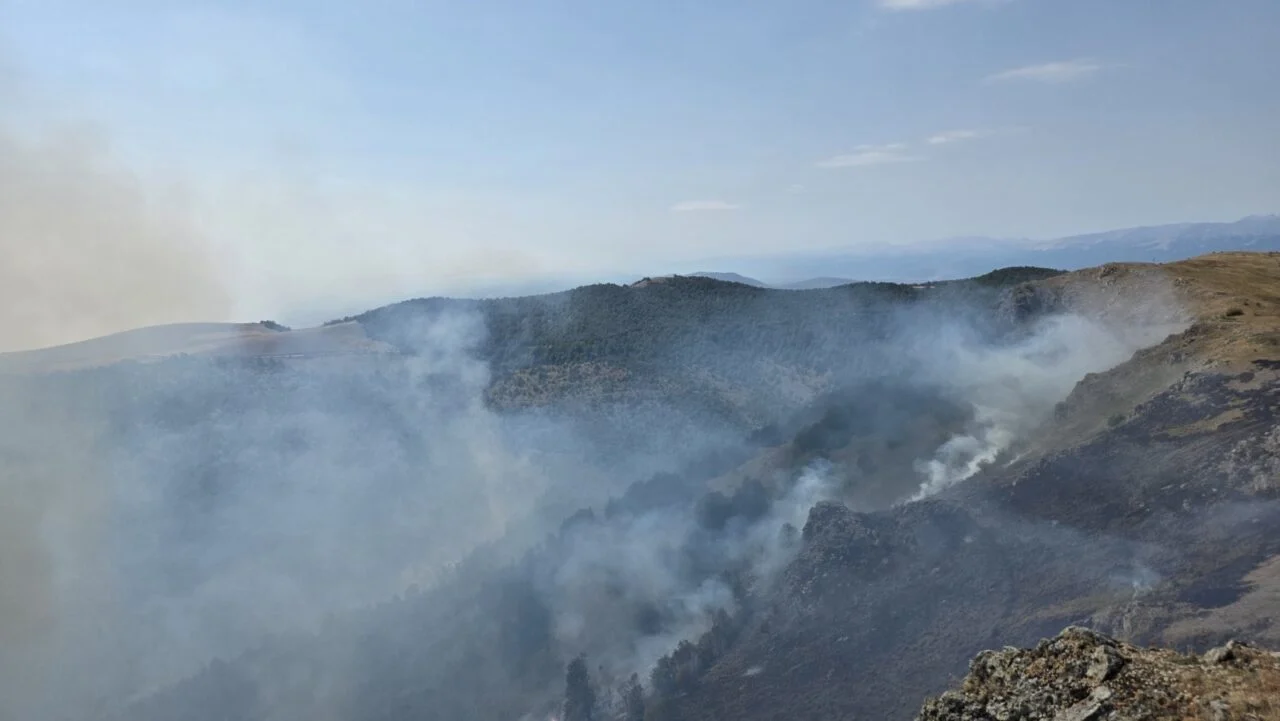 Вчера регистрирани 36 пожари,  опасноста и натаму висока, предупредува Ангелов