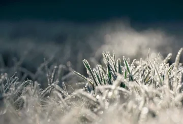 ВРЕМЕТО УТРЕ: Снежни врнежи до попладне, потоа студено со минусни температури и северен ветер