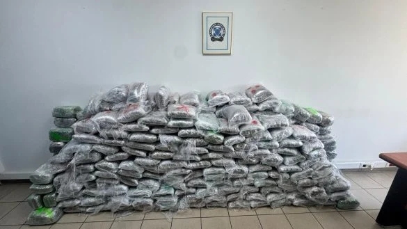 Видео од марихуаната која беше запленета од меѓународната криминална група