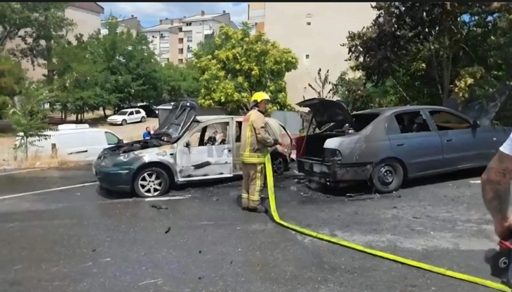 Во штипската населба Сењак опожарени две возила
