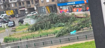 ФОТО: Откорнати дрвја, уништени реквизити – невремето предизвика сериозна штета во Аеродром