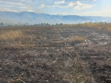 Еден пожар на отворено под контрола, 17 изгаснати
