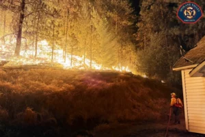 Пожарите во Вашингтон уништија повеќе од 700 објекти, евакуирани се 64.000 луѓе