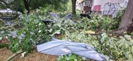 Невремето во Скопје откорна 35 покриви и 189 дрвја, оштетени 117 возила