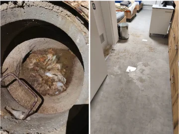 (ФОТО) ФРЛАЛЕ ВЛАЖНИ МАРАМИЦИ, ГО ЗАТНАЛЕ ОДВОДОТ: Поплавен тоалет во реновираниот студентски дом „Стив Наумов“, Јаневска повика на совесност