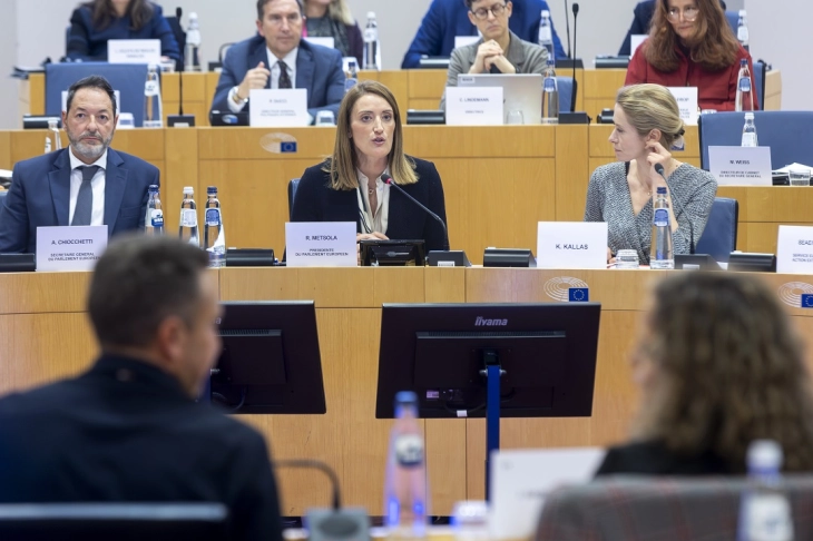 Лидерите на партиите во ЕП бараат конкретна и опиплива поддршка од ЕУ за Гренланд и Данска