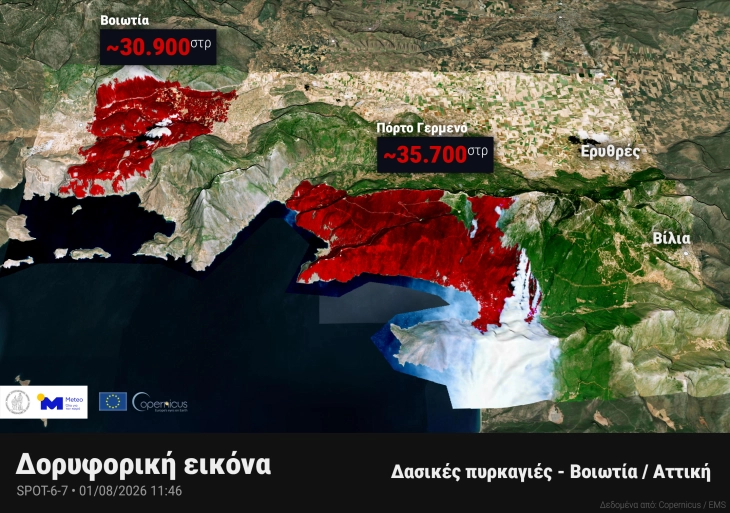 Пожарот во централна Грција што се прошири и во областа Атика сè уште активен – уапсени две лица и изгорени над 6.500 хектари