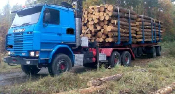 Кривична пријава против правно и физичко лице од Радовиш за сторени повеќе кривични дела при постапка за јавна набавка и транспорт на огревно дрво