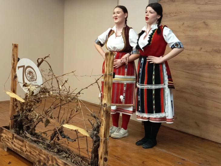 Земјоделското образование во Кавадарци постои 70 години, средношколците денеска го одбележаа празникот на лозарите и винарите