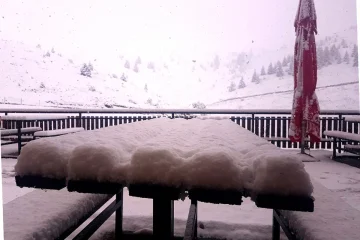 СОСТОЈБАТА СЕ СТАБИЛИЗИРА: Нема врнежи, патиштата се проодни – локални интервенции низ земјава