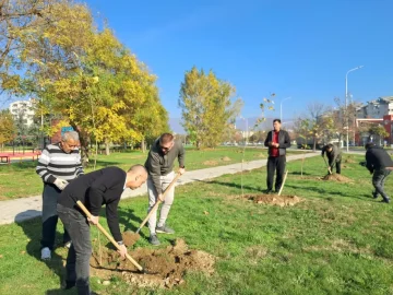 За секои 10 метри квадратни новоградба ќе се засадува еден нов садник на јавна површина: Аеродром воведува нова правило