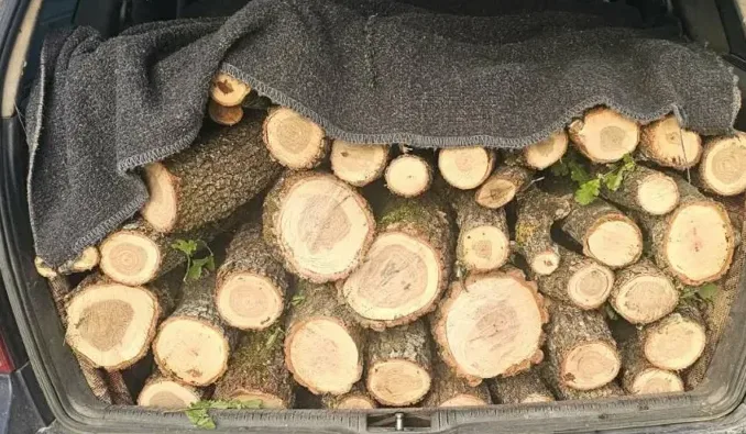 Полицијата заплени автомобил товарен со огревно дрво – при акцијата имало и пукање