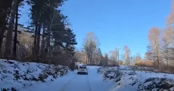 (ВИДЕО) ФАТЕНИ ДРВОКРАДЦИ НА ПЛАЧКОВИЦА: Одземени моторни возила и пили, сторителите идентификувани