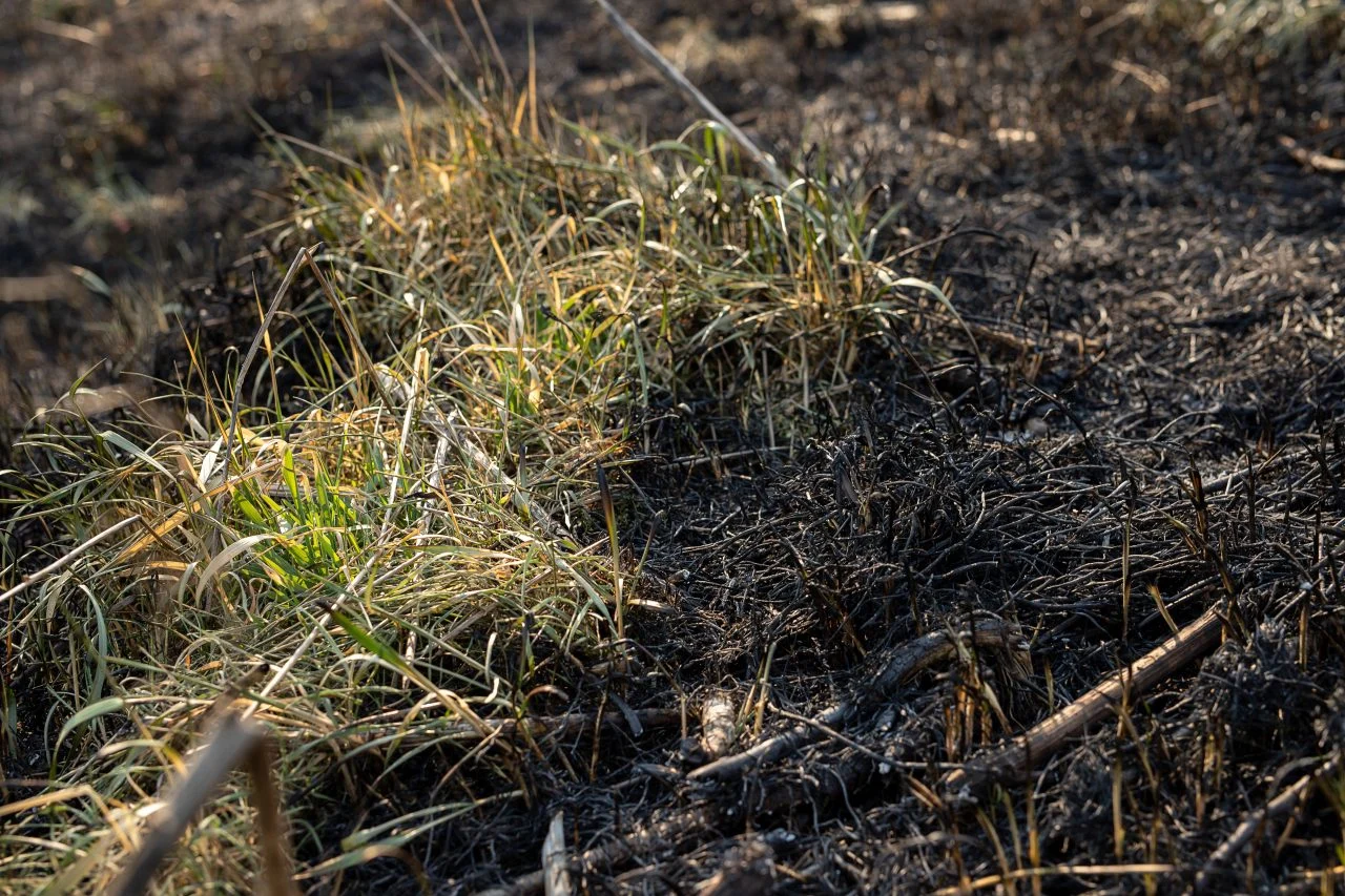 Уапсен 25-годишник во штипско: затекнат е како потпалува сува трева
