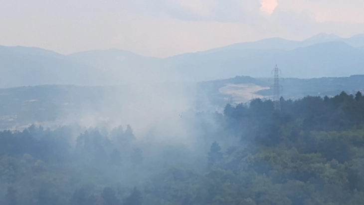 Пожар во парк шумата „Гази Баба“
