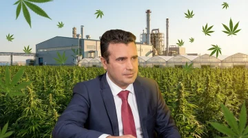 ЗА ДРОГАТА ПРАШАЈТЕ ГО ЗАЕВ: СДСМ одговорите треба да ги бара кај познатиот сопственик на фабрика за марихуана, директен линк со него има Филипче