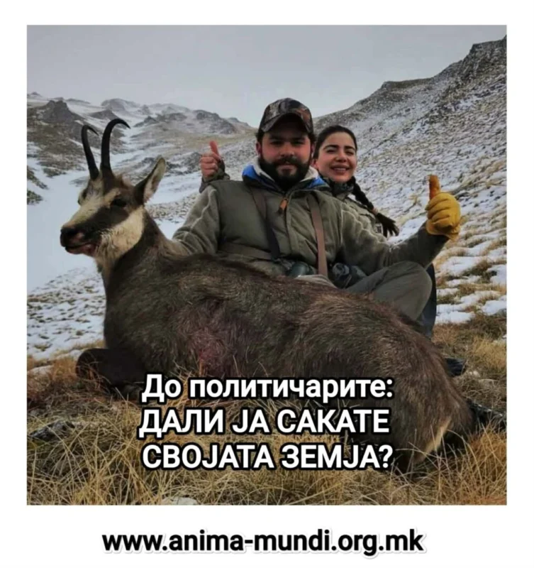 Убивањето дивокози и пиењето на нивната крв не спорт, итно да се направи истрага, бара „Анима Мунди“