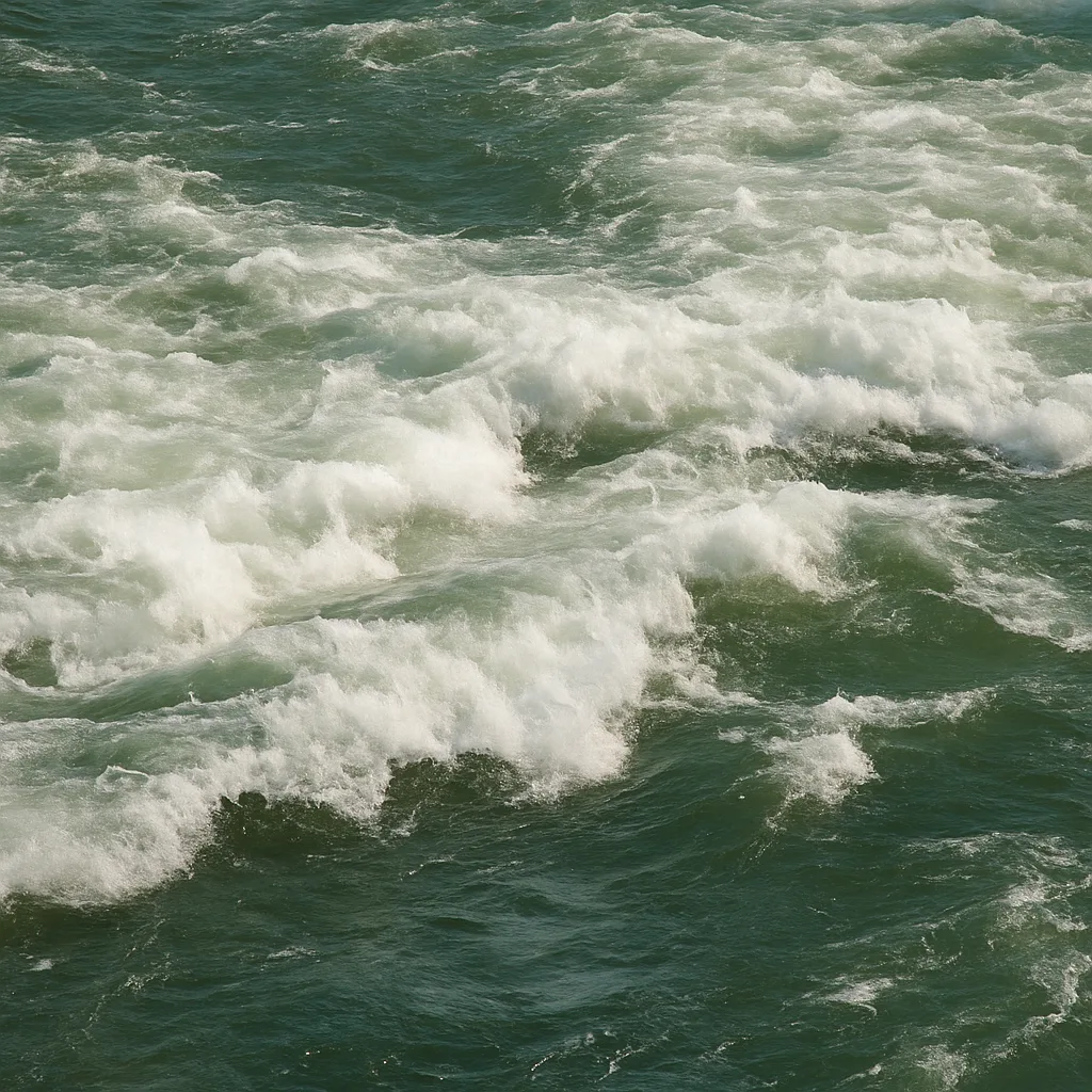 Илјадници пластични шишиња во Вардар, од Министерството за животна средина велат виновни се слабите комунални услуги