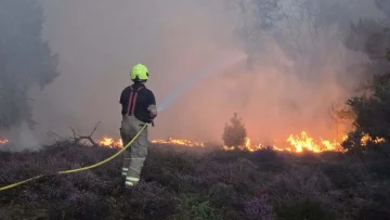(ВИДЕО) БРИТАНИЈА ВО ПЛАМЕН, ПОЖАРОТ СЕ ШИРИ КОН НУКЛЕАРНА ЦЕНТРАЛА: Гори во близина на Лондон, стотици туристи евакуирани