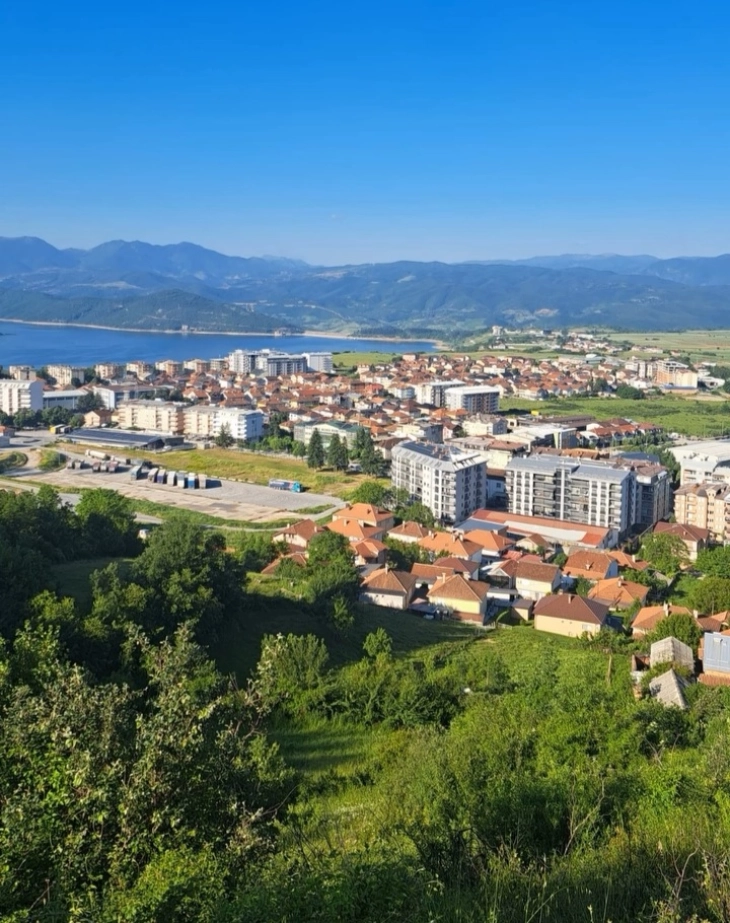 Тетовец силувал малолетно девојче во Дебарско