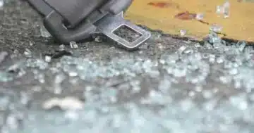 ЗАГИНА ВОЗАЧ НА ПАТОТ ОХРИД – КИЧЕВО: Автомобилот се запалил по удар во кучиња скитници, па во банкина