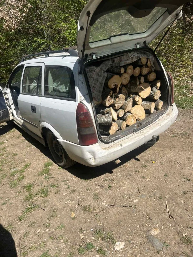 Уапсен дрвокрадец од скопско