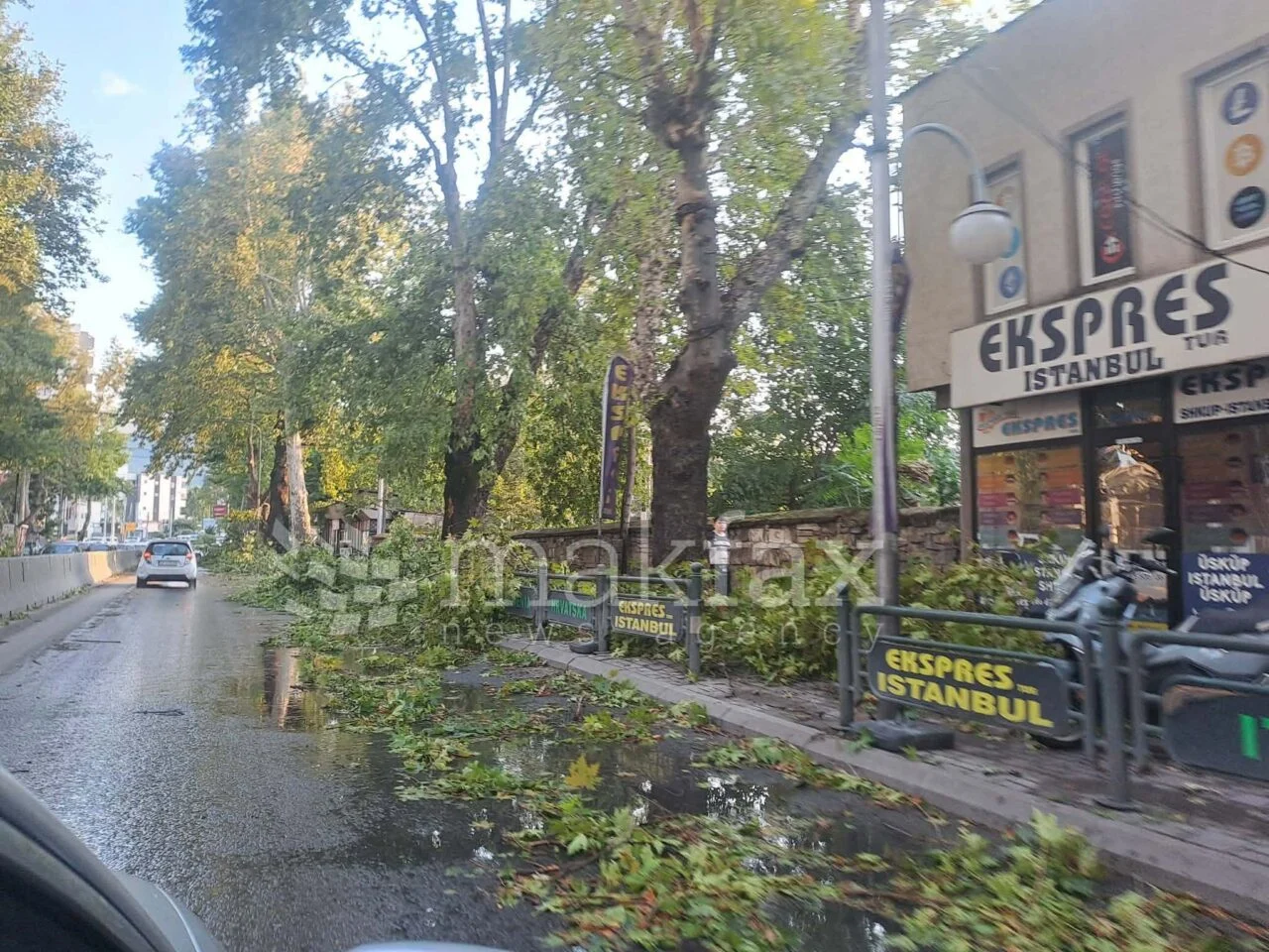 (Фото) Откорнати дрвја, покриви, искинати кабли, непроодни улици по невремето во делови од Скопје