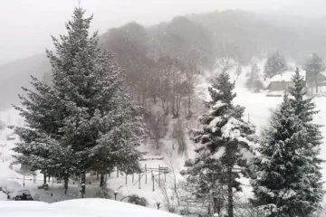 ДОАЃА СНЕГ ВО СРЕДА: Скопје и планинските места ќе бидат под снежна покривка