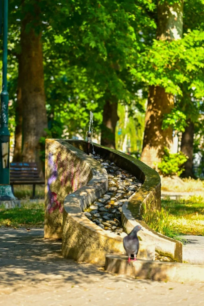 Во функција ставени повеќе од 220 фонтани за пиење вода во Скопје, најавено и поставување нови