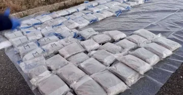 ПРВИ ПРИТВОРИ ЗА ЗАПЛЕНЕТАТА МАРИХУАНА: Две лица се уапсени – еве ги деталите