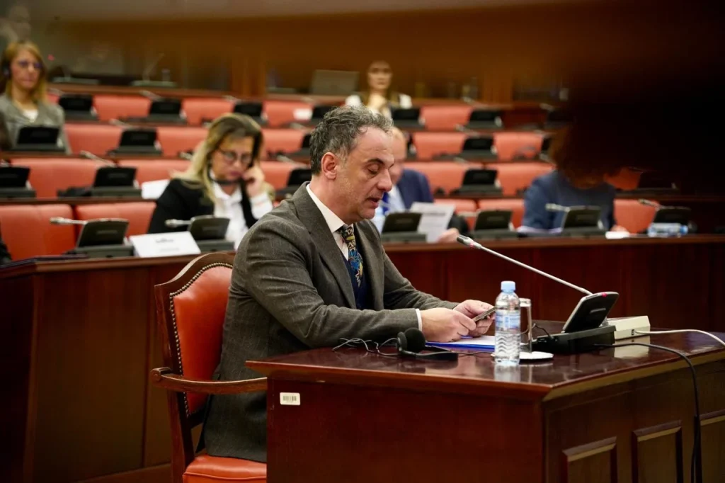 Улогата на здравствениот систем клучна во раната детекција и обезбедувањето соодветна поддршка за жртвите на семејно насилство, вели Алиу